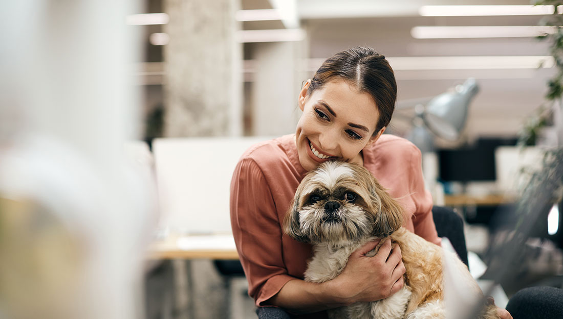A woman sits with a dog on her lap in an office.