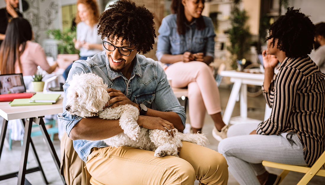 In a busy office, a person sits on a chair petting a cute white dog.