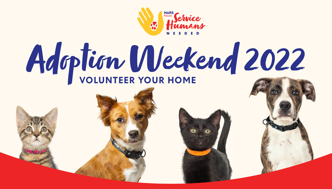A row of dogs and cats with text above that says" Adoption Weekend 2022" and "volunteer your home"|MaxFund Animal Adoption Center logo|Nashville Humane Association logo|Metro Nashville Animal Care & Control logo|Williamson County Animal Center logo|St. Hubert's Animal Welfare Center logo|Humane Rescue Alliance logo|LA Animal Services logo|