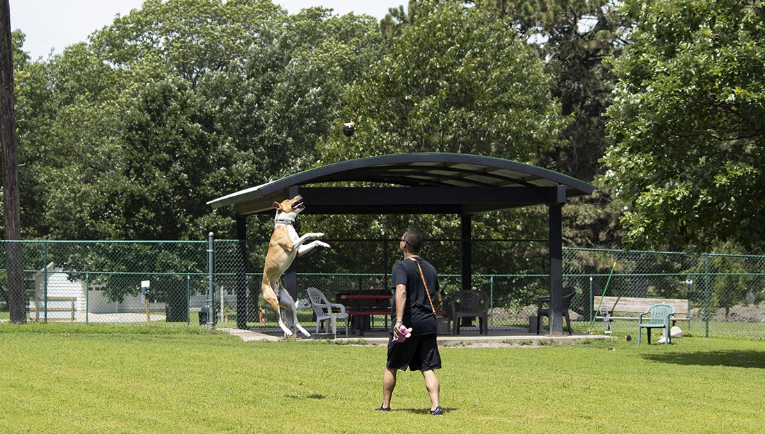 Man and dog at Topeka dog park|||Mayor Michelle De La Isla with family and pets