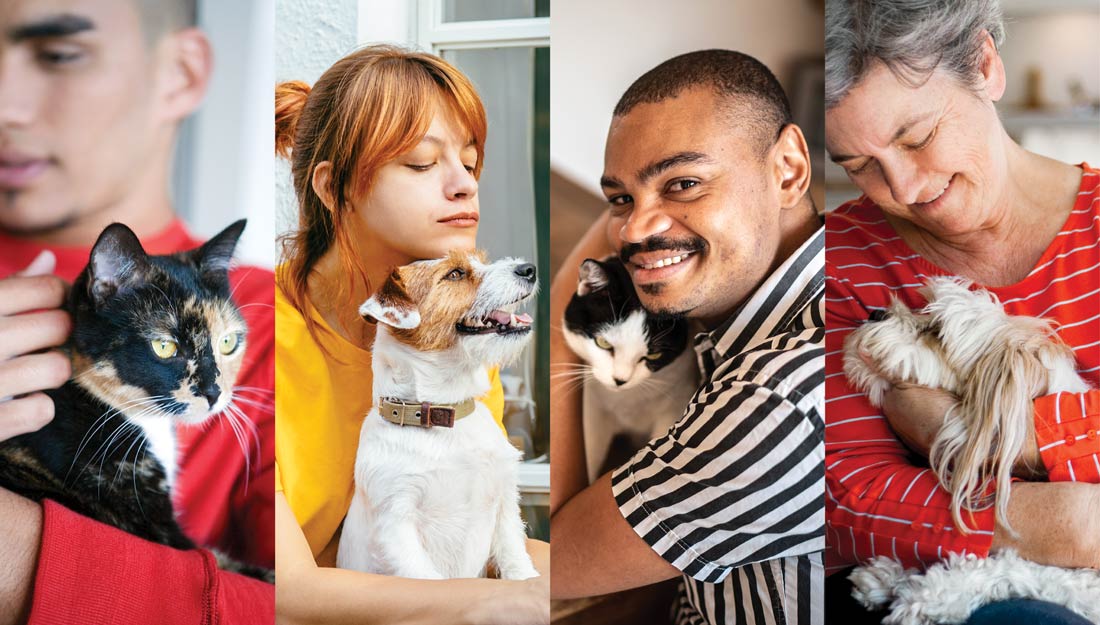 a collage of four pet parents holding their dogs and cats