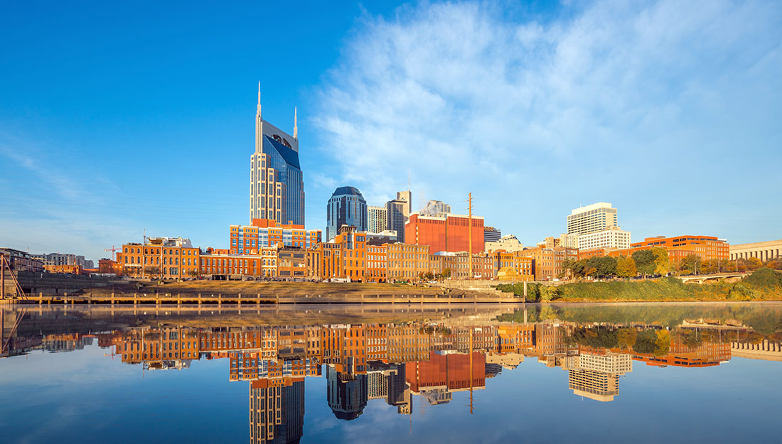 Nashville skyline|||dog at city dog park
