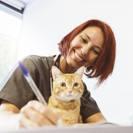 Pets make neighborhoods feel safer and workplaces more fun.