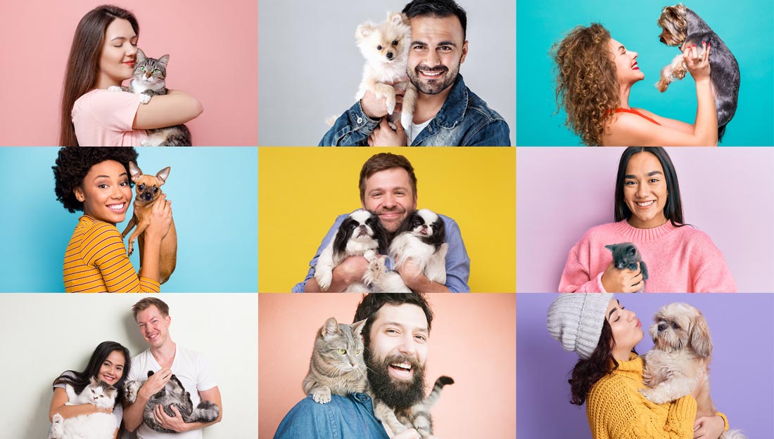 collage of people and their pets|woman brushing cat|dog sitting safely in car wearing a harness|walking with dog in the snow|collage of people and their pets