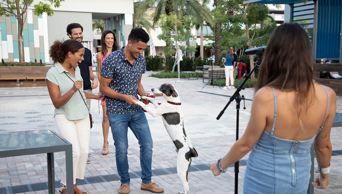 People enjoy an outdoor music performance with a happy dog|Dania Beach pier|an overhead view of the dog park|a dog posed in front of a colorful sculpture at an event|a collage of photos of dogs playing in parks and in the lake|Mayor James sitting on the grass with her son and a dog