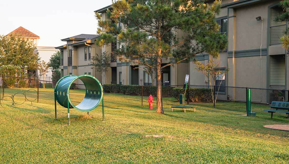 dog play area outside an apartment|