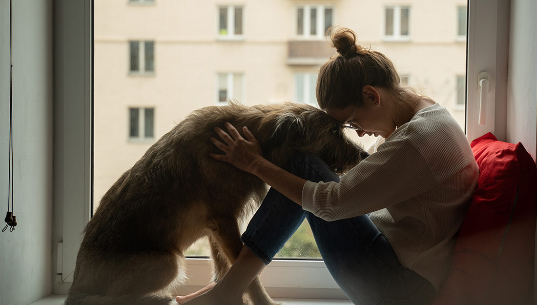 woman embracing dog in front of window|City of Oakland logo||City of Las Vegas logo|City of Key West logo|City of Dallas logo|City of Sheboygan logo|City of Alexandria logo|
