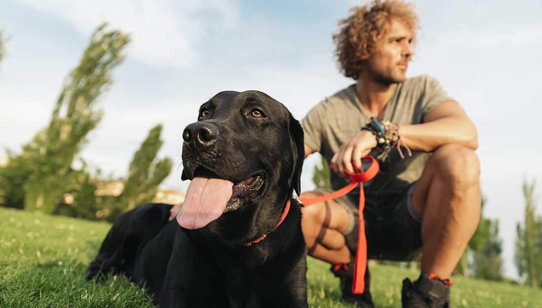 Dog and man in park