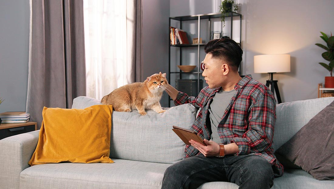 a man sits on a couch in an apartment