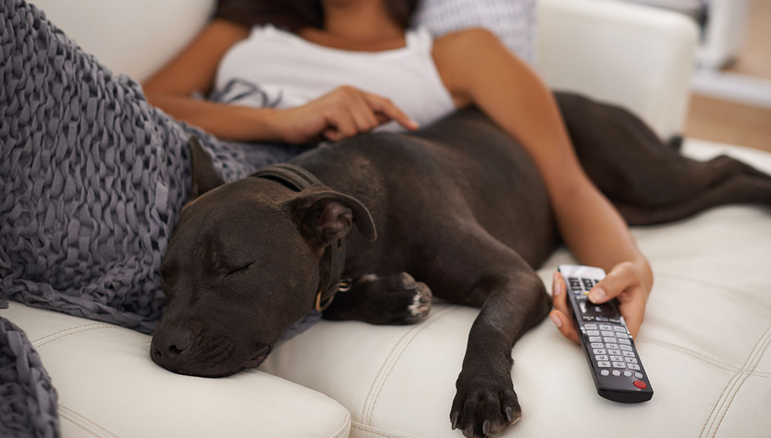 a woman lies on a couch with a large