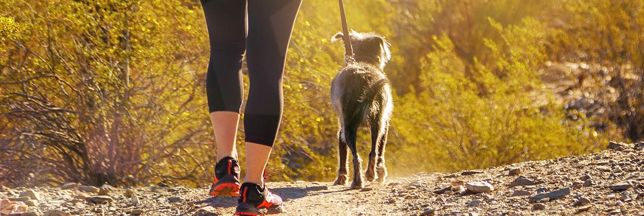 dog hiking desert trail with woman|dog hiking desert trail with woman|cute dog looking over the shoulder of a woman|people and pets at a Phoenix-area dog park