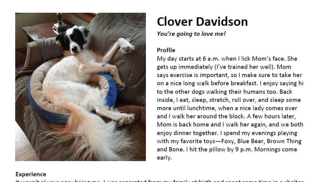 excerpt of sample pet resume
