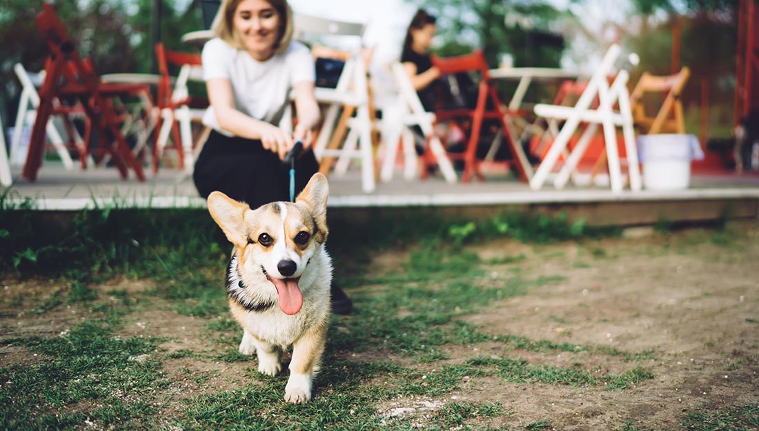 woman at pet-friendly cafe with dog|store sign with pets welcome sticker