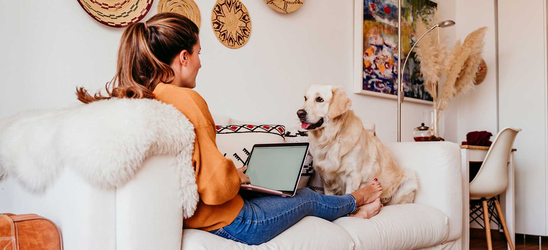 woman sitting on couch with laptop and dog|cat sleeping on keyboard